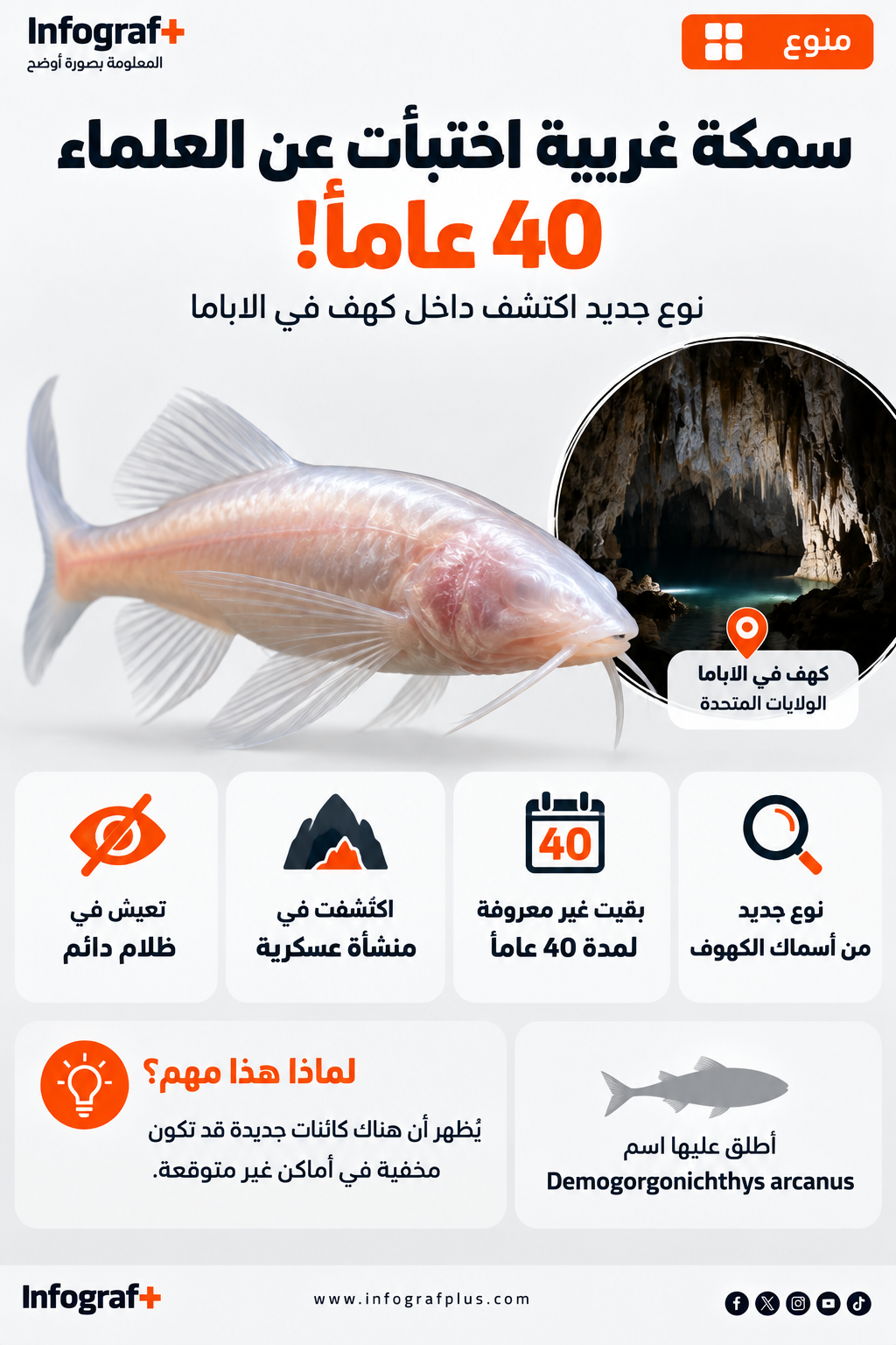 إنفوغرافيك عن اكتشاف نوع جديد من أسماك الكهوف في ألاباما بعد عقود من الدراسات والمراقبة البيولوجية للكهف
